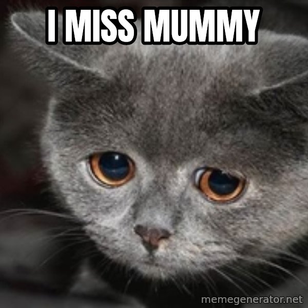 Sadcat meme: I miss Mummy
