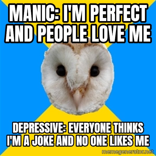 Bipolar Owl meme: Manic: I'm perfect and people love me / Depressive: Everyone thinks I'm a joke and no one likes me