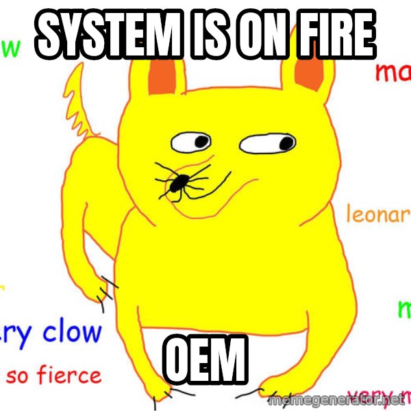 Grumpy Cat  meme: system is on fire / oem
