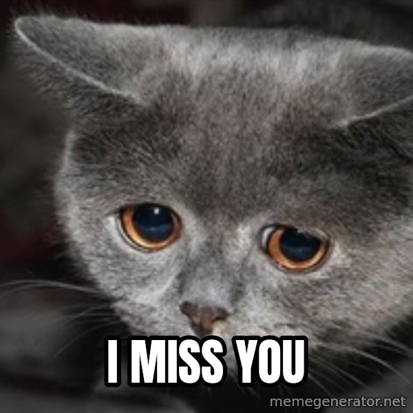 Sadcat meme: I miss you