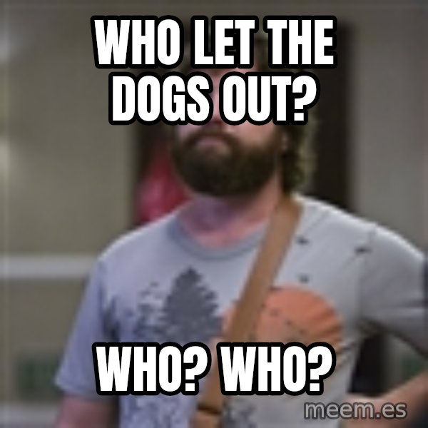 Alan Hangover meme: Who let the dogs out? / Who? who?