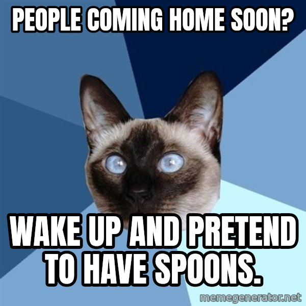 Chronic Illness Cat meme: People coming home soon? / Wake up and pretend to have spoons.