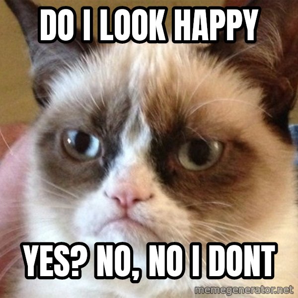 Angry Cat Meme meme: Do I look happy / Yes? No, no I dont