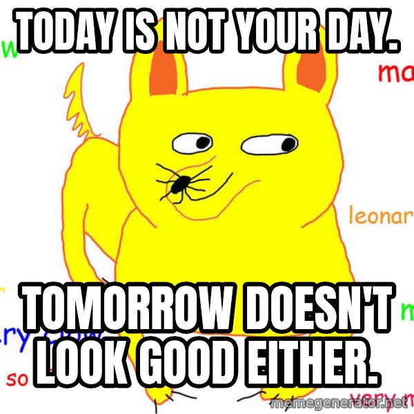 Grumpy Cat  meme: Today is not your day. / Tomorrow doesn't look good either.