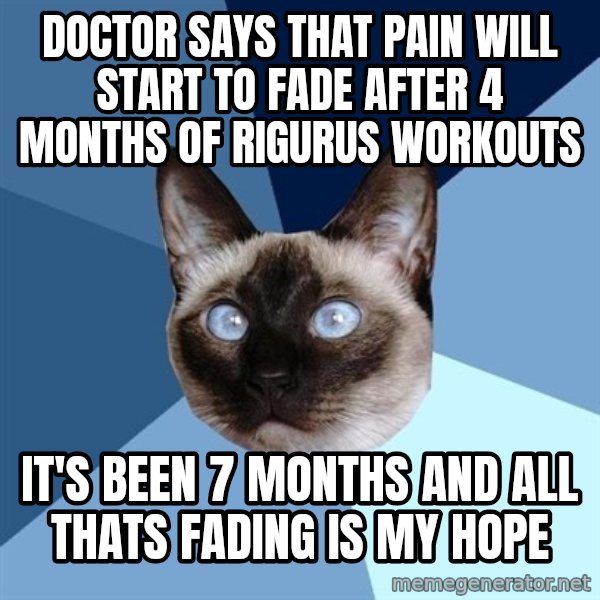 Chronic Illness Cat meme: Doctor says that pain will start to fade after 4 months of rigurus workouts / it's been 7 months and all thats fading is my hope