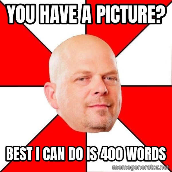 Pawn Stars meme: YOU HAVE A PICTURE? / BEST I CAN DO IS 400 WORDS