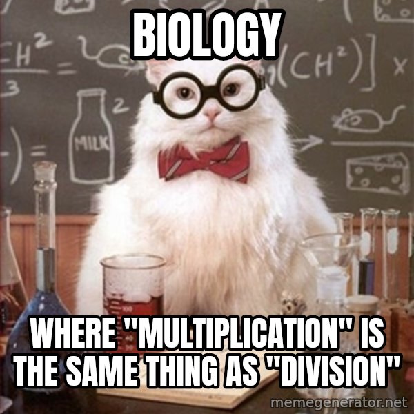 Science Cat meme: biology / where "multiplication" is the same thing as "division"