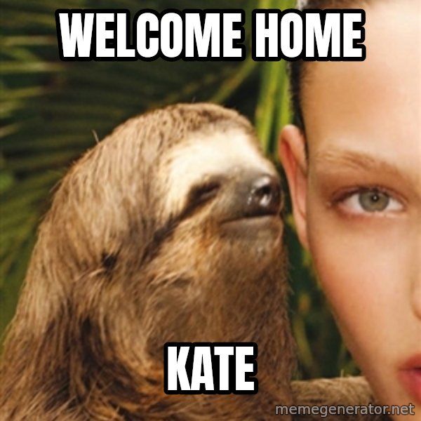 The Rape Sloth meme: Welcome home / Kate