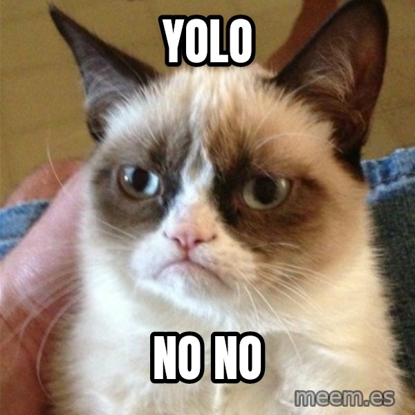 Grumpy Cat  meme: YOLO / NO NO