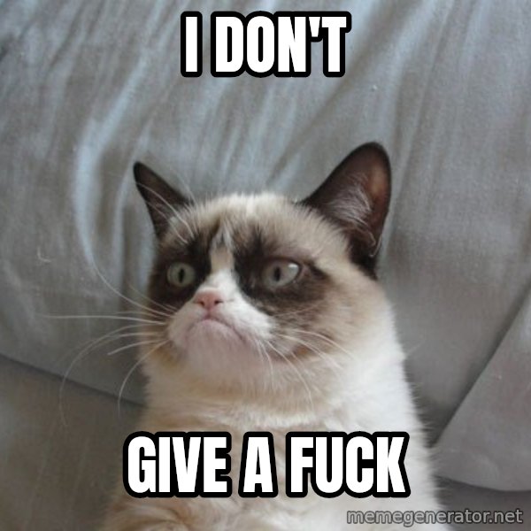 Grumpy cat good meme: I Don't / give a fuck
