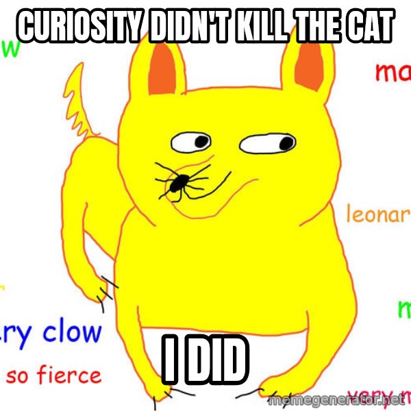 Grumpy Cat  meme: Curiosity didn't kill     the cat / i did