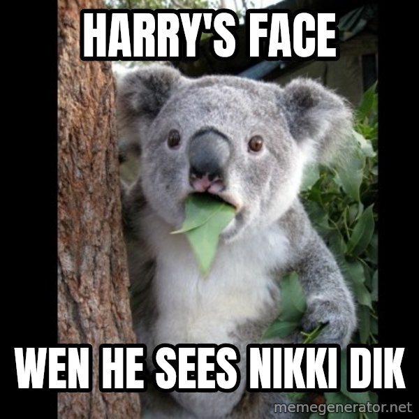 Koala can't believe it meme: HARRY'S FACE / WEN HE SEES NIKKI DIK
