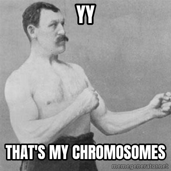 overly manlyman meme: YY / That's my       chromosomes