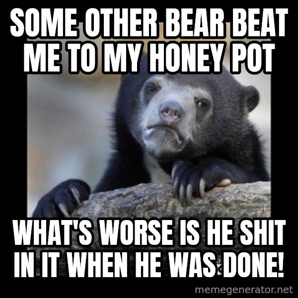 sad bear meme: some other bear beat me to my honey pot / what's worse is he shit in it when he was done!