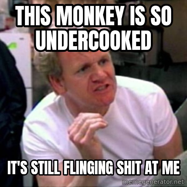 Gordon Ramsay meme: This monkey is so undercooked / It's still flinging shit at me