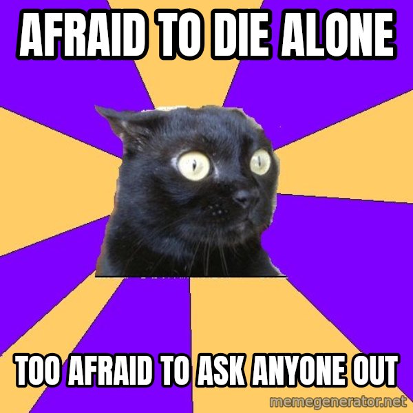 Anxiety Cat meme: Afraid to die alone / Too afraid to ask anyone out