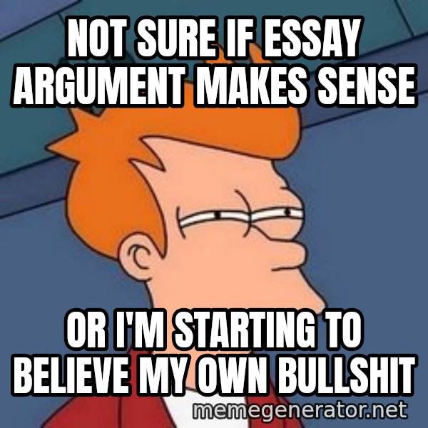 Fry squint meme: Not sure if essay argument makes sense / Or I'm starting to believe my own bullshit