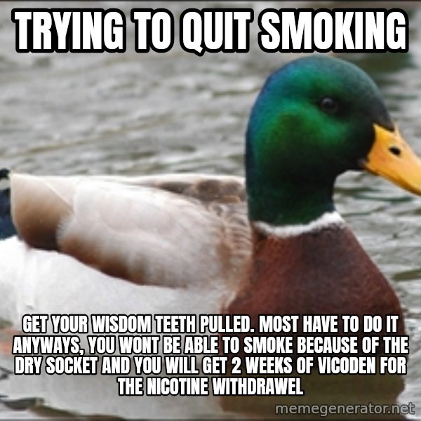 Actual Advice Mallard 1 meme: tRYING TO QUIT SMOKING / gET YOUR WISDOM TEETH PULLED. MOST HAVE TO DO IT ANYWAYS, YOU WONT BE ABLE TO SMOKE BECAUSE OF THE DRY SOCKET AND YOU WILL GET 2 WEEKS OF VICODEN FOR THE NICOTINE WITHDRAWEL