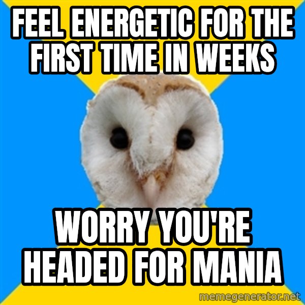 Bipolar Owl meme: feel energetic for the first time in weeks / worry you're headed for mania