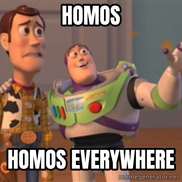 Tseverywhere meme: HOMOS / HOMOS EVERYWHERE