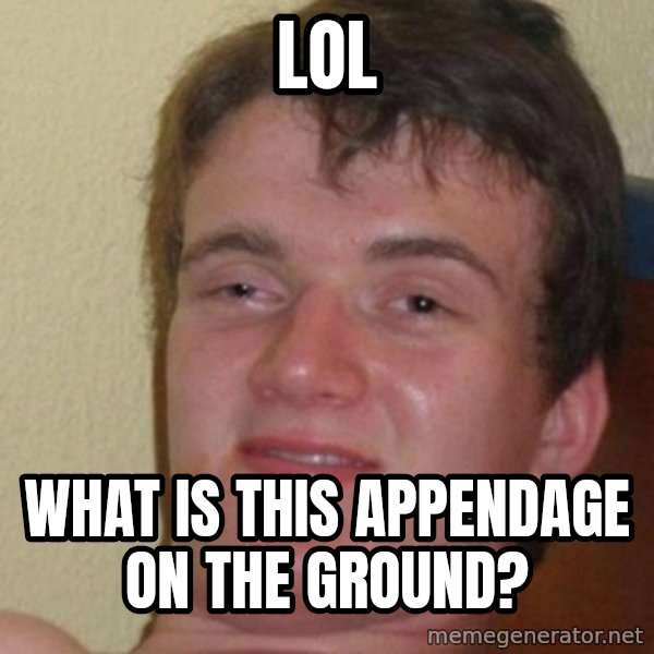 really high guy meme: LOL / WHAT IS THIS APPENDAGE ON THE GROUND?