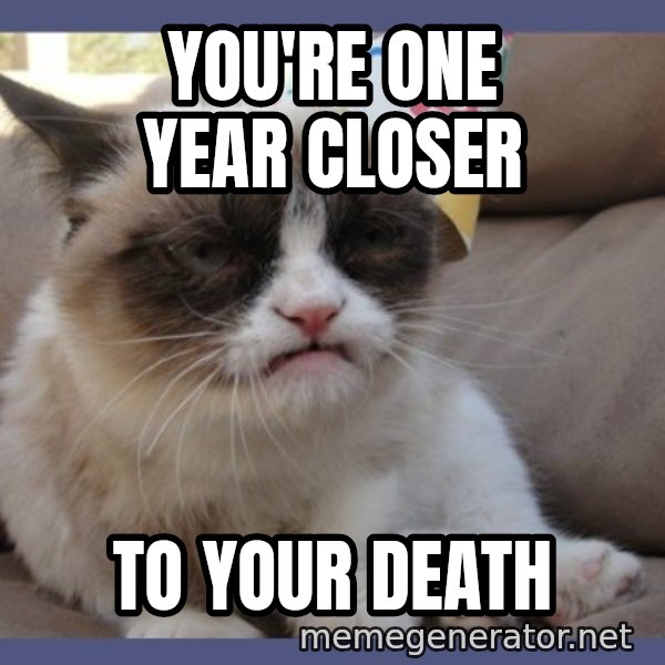 Birthday Grumpy Cat meme: you're one year closer / to your death