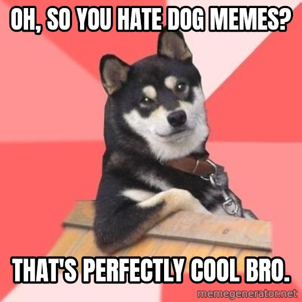 Cool Dog meme: oh, so you hate dog memes? / that's perfectly cool bro.