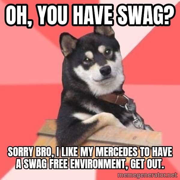 Cool Dog meme: oh, you have swag? / sorry bro, i like my mercedes to have a swag free environment, get out.