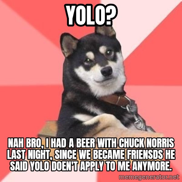 Cool Dog meme: yolo? / nah bro, i had a beer with chuck norris last night, since we became friensds he said yolo doen't apply to me anymore.
