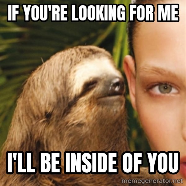 The Rape Sloth meme: If you're looking for Me / I'll be inside of you