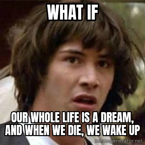 what if meme meme: what if / our whole life is a dream, and when we die, we wake up