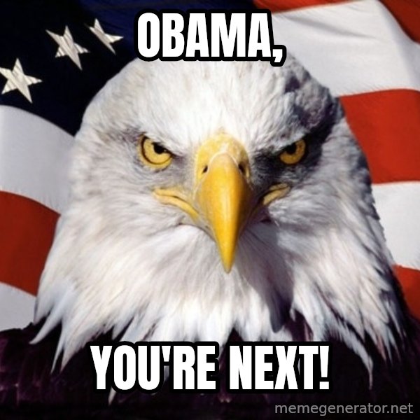 American Pride Eagle meme: obama, / you're next!