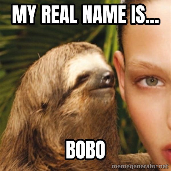 The Rape Sloth meme: My Real Name iS... / BOBO