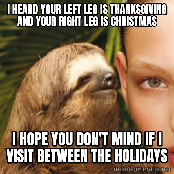 The Rape Sloth meme: i heard your left leg is thanksgiving and your right leg is christmas / i hope you don't mind if i visit between the holidays