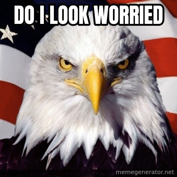American Pride Eagle meme: Do i look worried