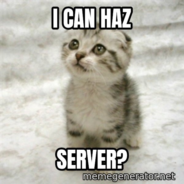 Can haz cat meme: I CAN HAZ / SERVER?