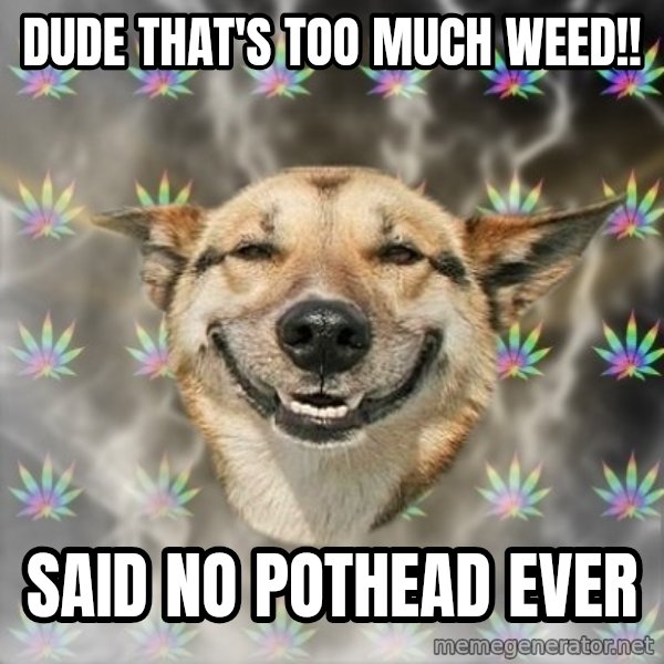 Stoner Dog meme: Dude that's too Much weed!! / Said no pothead ever