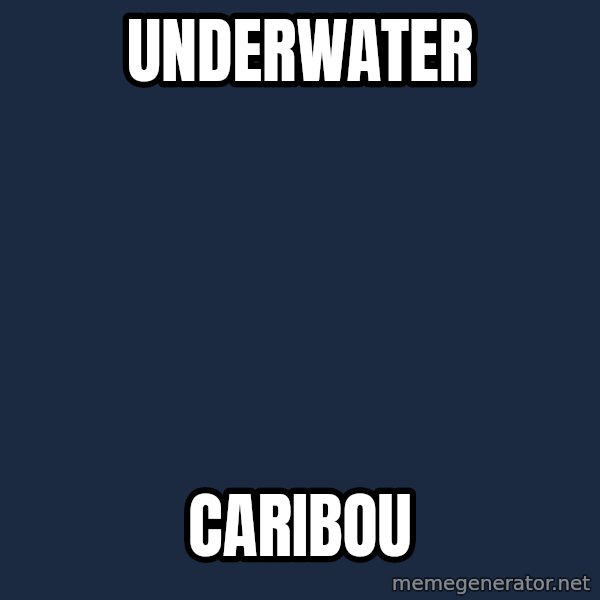 First World Problems meme: UNDERWATER / CARIBOU