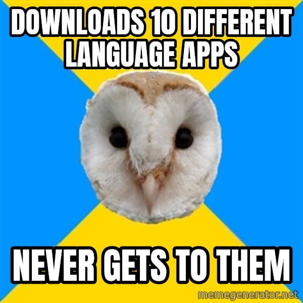 Bipolar Owl meme: downloads 10 different language apps / never gets to them
