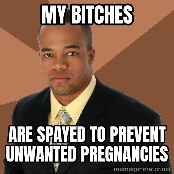 Successful Black Man meme: my bitches / are spayed to prevent unwanted pregnancies