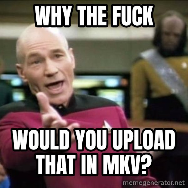 Why the fuck meme: Why the fuck / would you upload that in MKV?