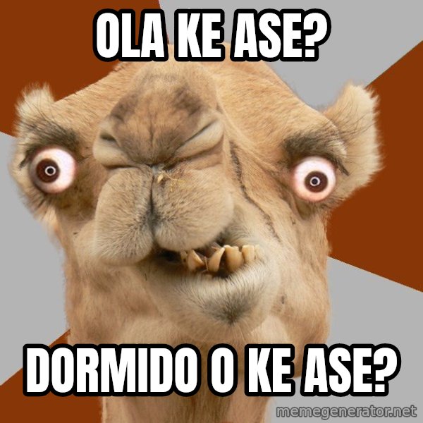 Crazy Camel lol meme: OLA KE ASE? / DORMIDO O KE ASE?