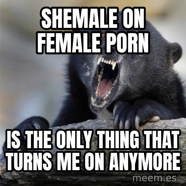 Insane Confession Bear meme: shemale on female porn / is the only thing that turns me on anymore