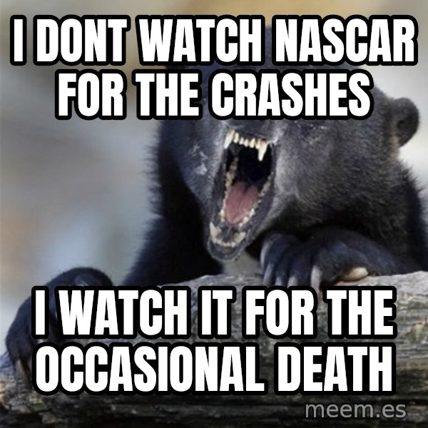 Insane Confession Bear meme: i dont watch nascar for the crashes / i watch it for the occasional death