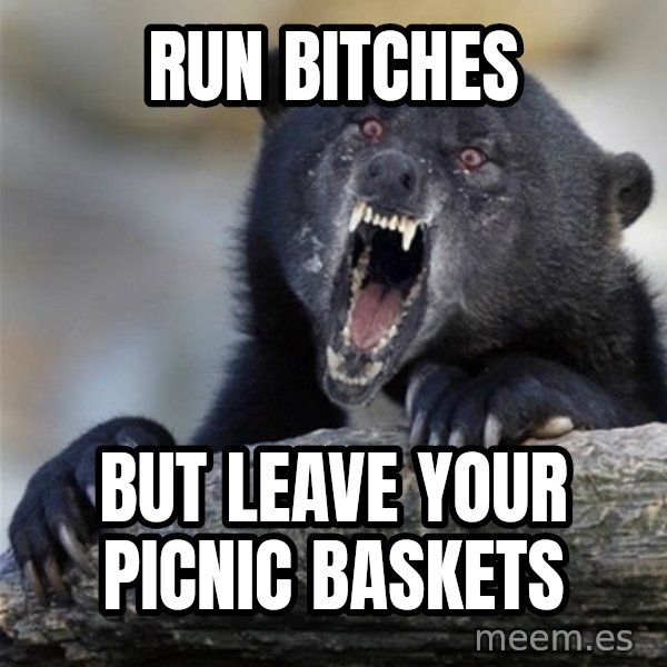 Insane Confession Bear meme: RUN BITCHES / BUT leave your picnic baskets