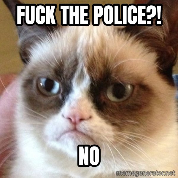 Angry Cat Meme meme: fuck the police?! / no