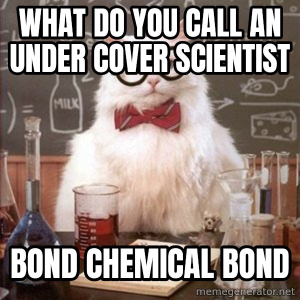 Chemistry Cat meme: What do you call an under cover scientist / bond chemical bond