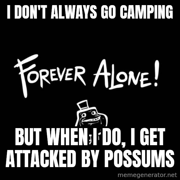 The Most Interesting Man In The World meme: i don't always go camping / but when i do, i get attacked by possums
