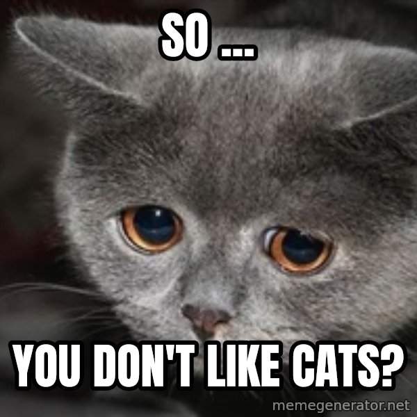 Sadcat meme: So ... / you don't like cats?