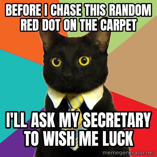 Business Cat meme: before i chase this random red dot on the carpet / i'll ask my secretary to wish me luck